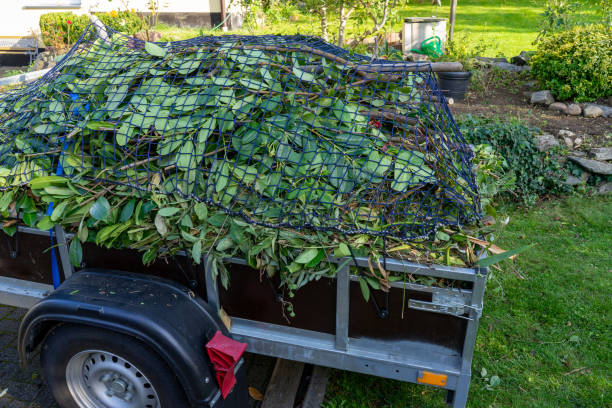 Best Residential Junk Removal  in Colorado City, TX